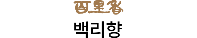 백리향